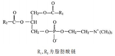 中藥標(biāo)準(zhǔn)品