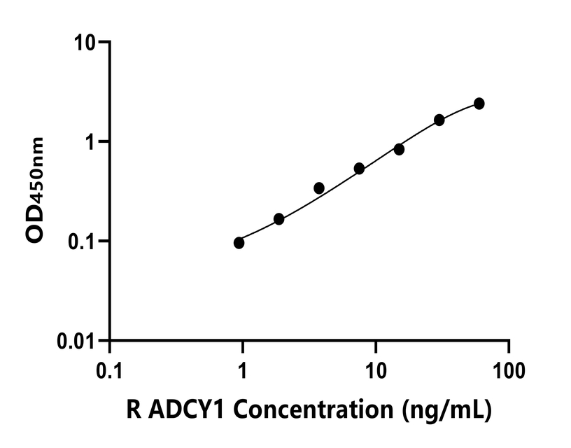 大鼠 Elisa試劑盒