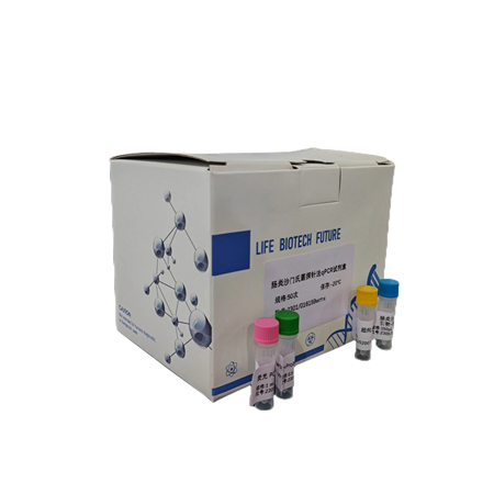 探針?lè)╭PCR試劑盒