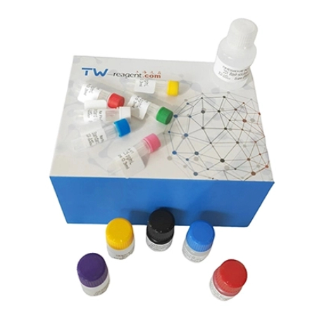 兔金屬硫蛋白(MT)試劑盒 兔金屬硫蛋白(MT)試劑盒