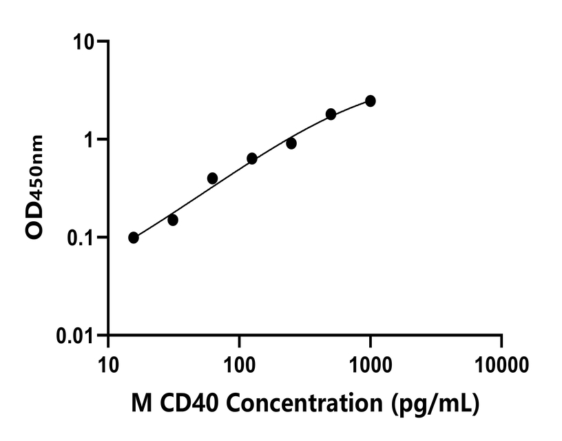 小鼠(CD40)ELISA試劑盒