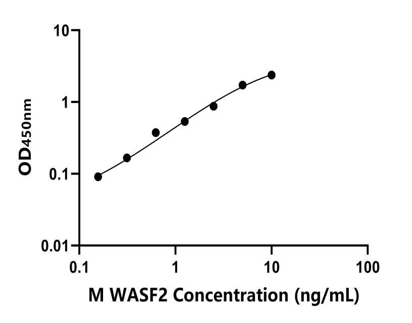小鼠(WASF2)ELISA試劑盒