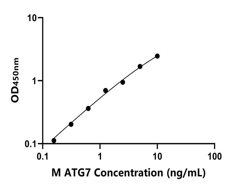 小鼠(ATG7)ELISA試劑盒 小鼠(ATG7)ELISA試劑盒